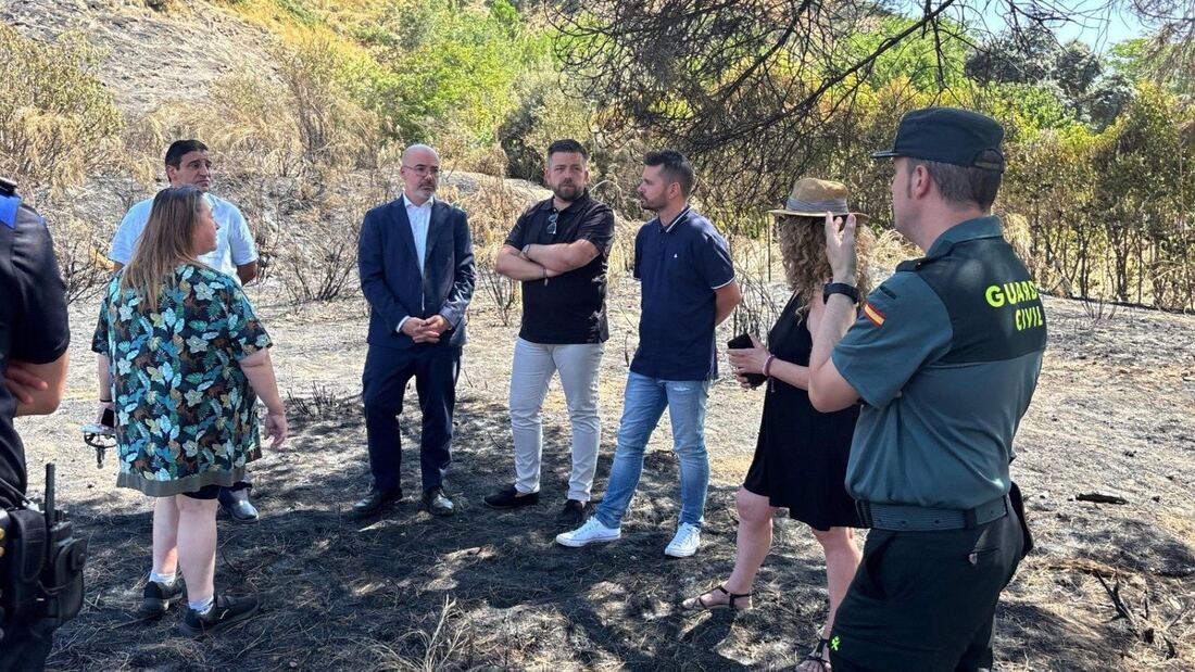 Francisco Martín visita la zona quemada por el incendio de San Martín de la Vega