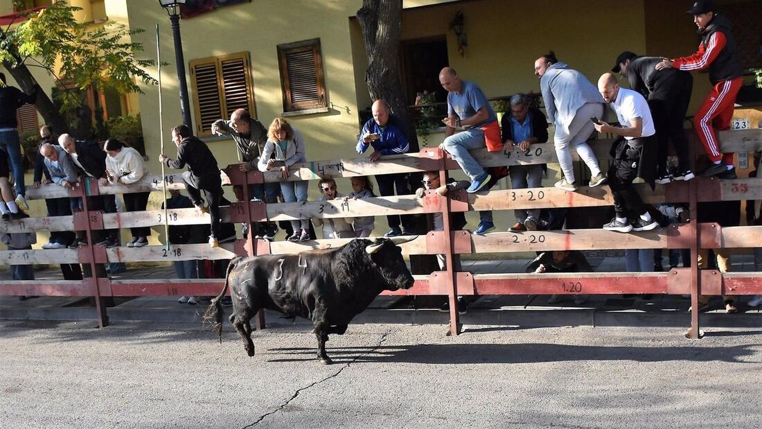 Muere un vecino de Móstoles tras ser corneado en un encierro en Villaviciosa