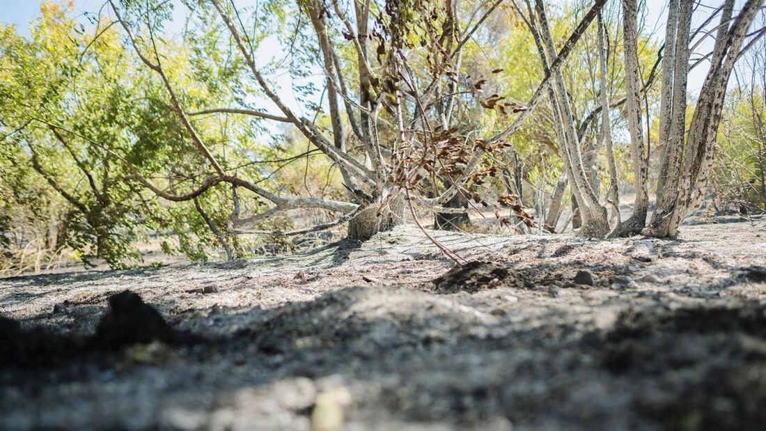 Los bomberos combaten un incendio forestal entre Méntrida y Aldea del Fresno