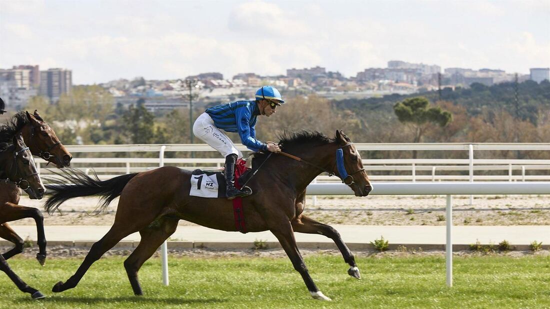 Las carreras de caballos regresan al Hipódromo de la Zarzuela con un programa familiar y nocturno