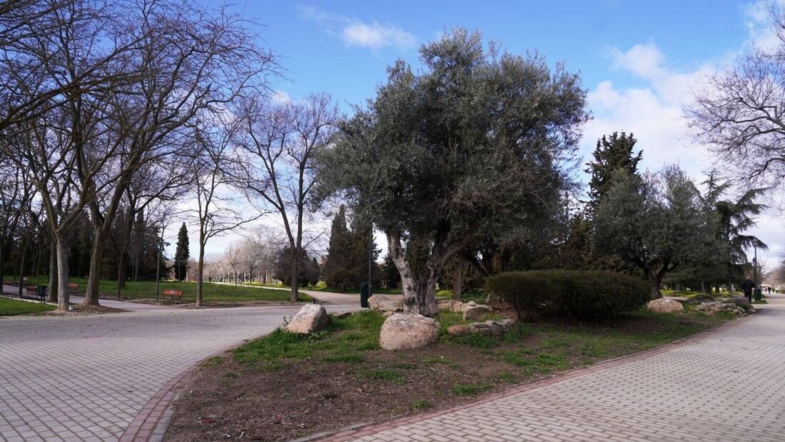 Madrid inicia la tercera fase de rehabilitación del parque de Las Cruces con 1,8 millones y nuevas zonas deportivas e infantiles