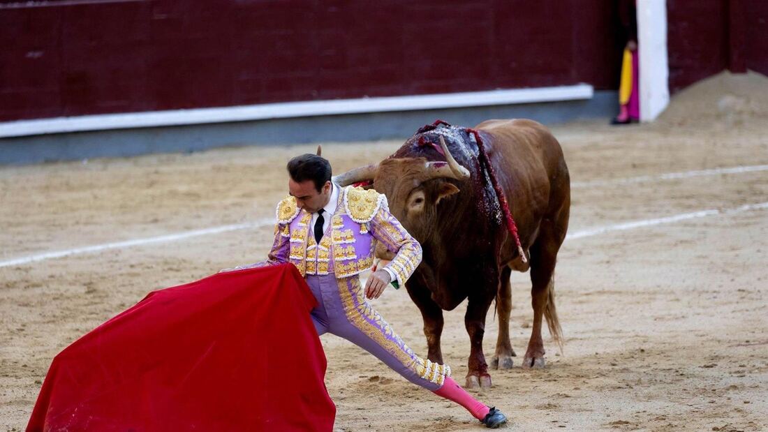 PP y Vox animan a familias y jóvenes a acudir a los toros frente a la reforma de la LOPIVI