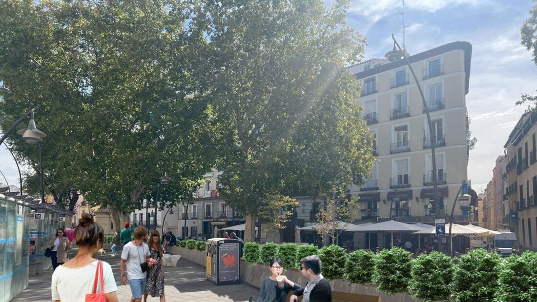 La plaza de Tirso de Molina sumará una veintena de árboles después de la remodelación