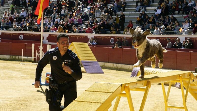 Torrejón acoge una exhibición de unidades caninas policiales y militares
