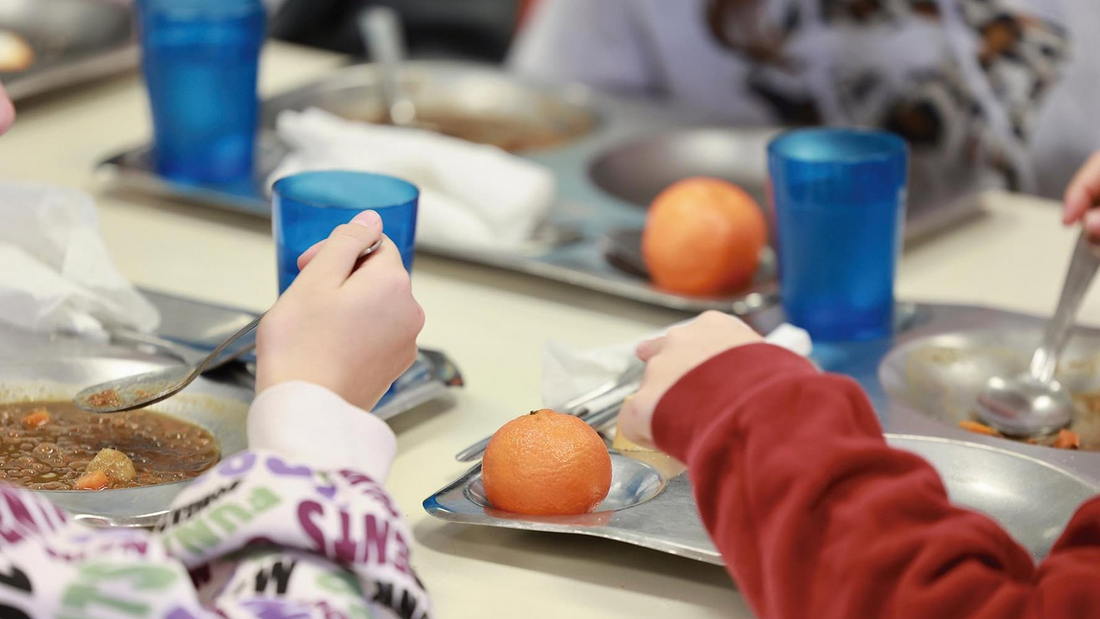 Madrid destina 75,4 millones a becas de comedor para el curso 2026/27 tras alcanzar récord de beneficiarios