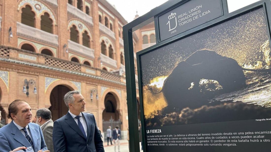 La Comunidad destaca el peso de las ganaderías madrileñas en los festejos taurinos
