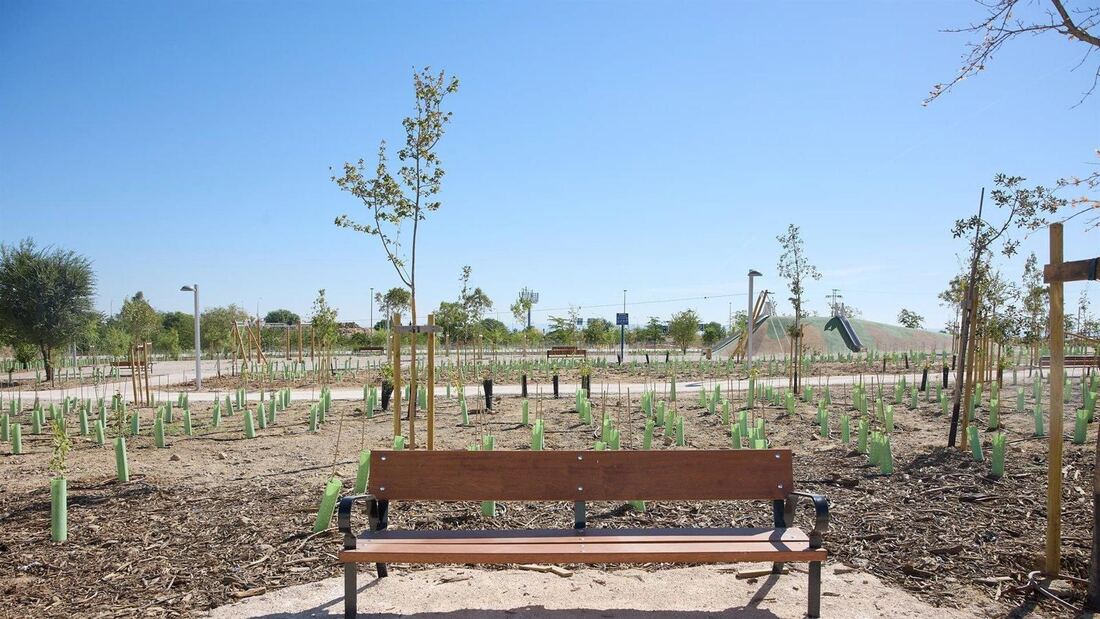 Madrid inicia la construcción del nuevo parque de Montecarmelo con 1.600 árboles