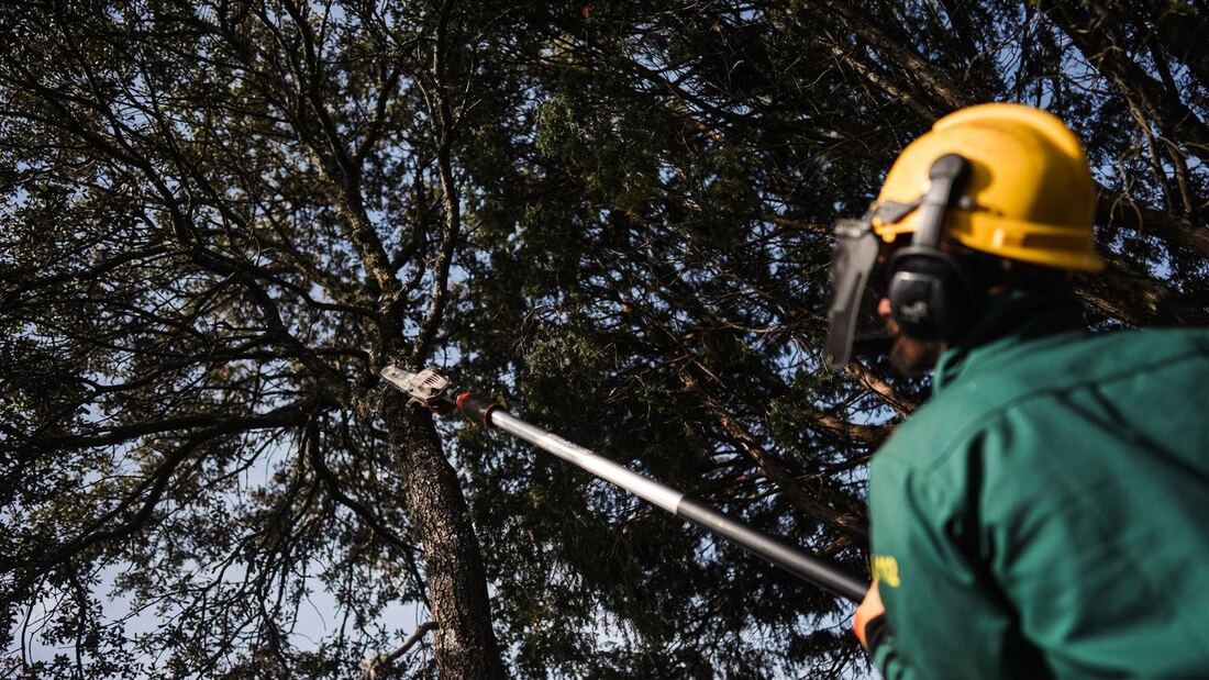 Madrid actúa en 5.298 hectáreas para prevenir incendios forestales