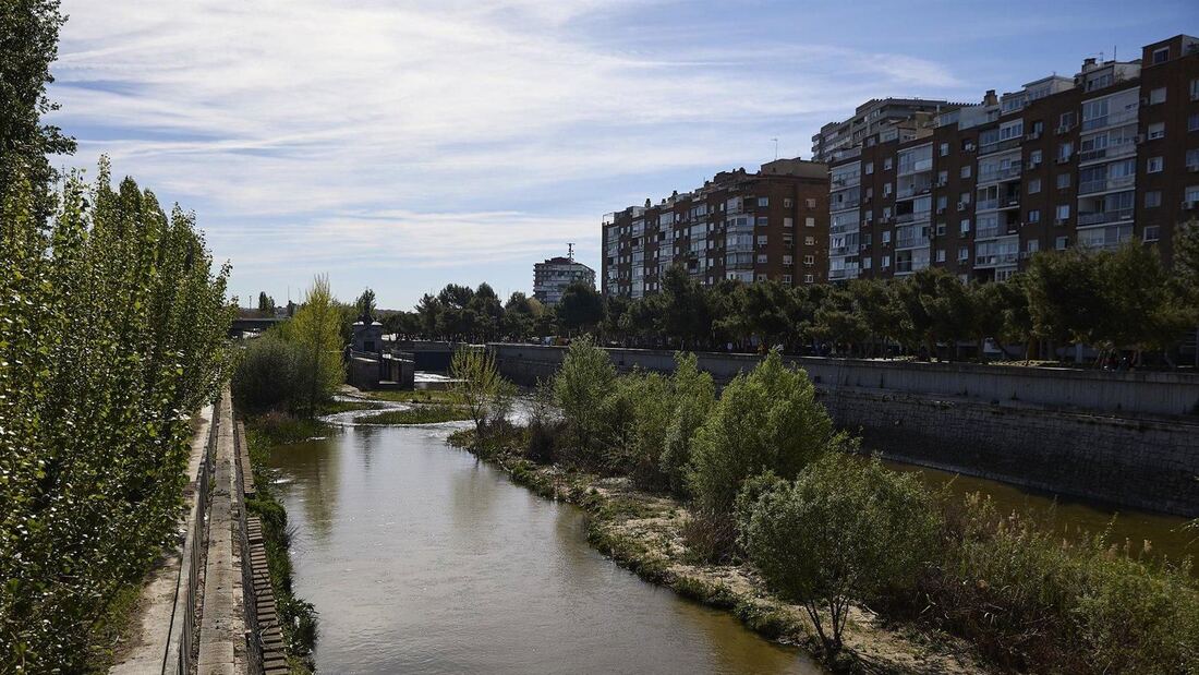 Madrid ofrece 470 visitas guiadas por su patrimonio
