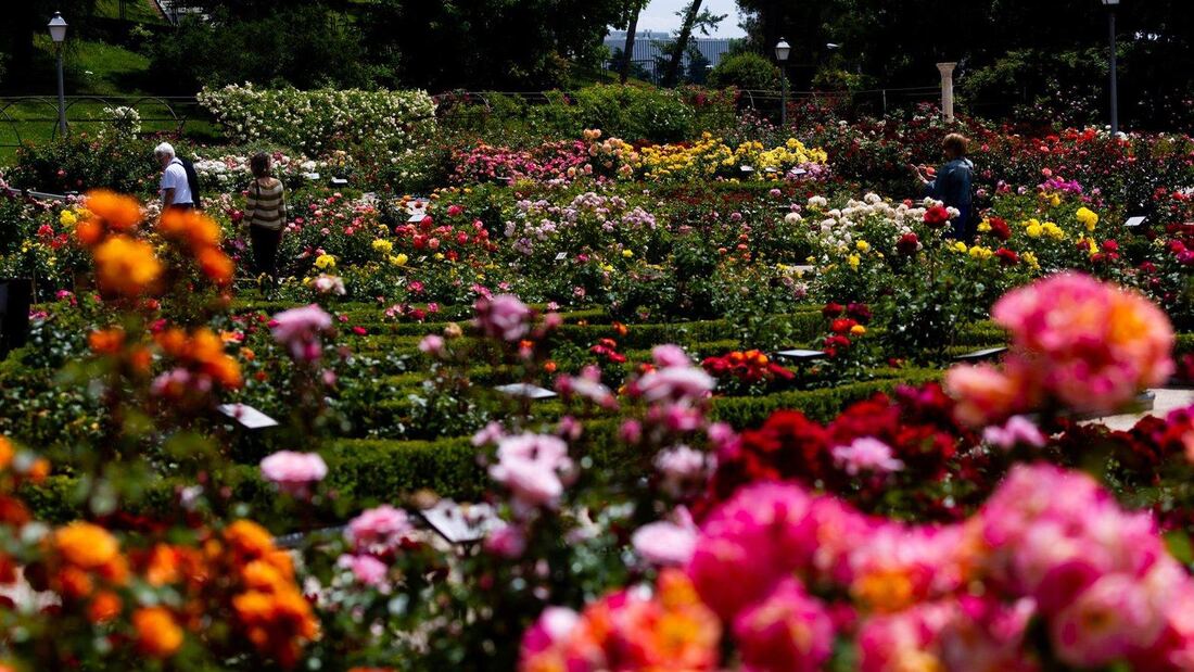 Madrid tramita declarar BIC el Parque del Oeste como Jardín Histórico