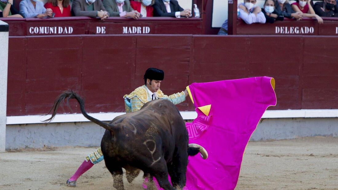 Telemadrid prevé superar los 50 festejos taurinos retransmitidos en 2026