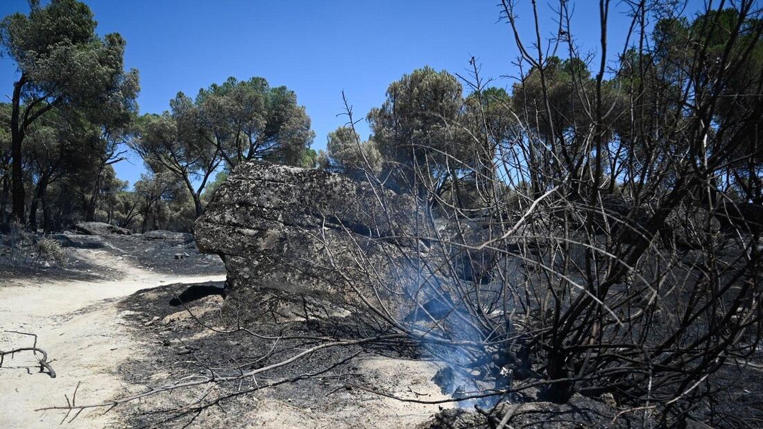 El incendio forestal de la Sierra Oeste permanece en fase de control