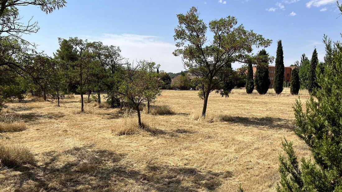 Alcalá invertirá 600.000 euros en la Villa romana del Val