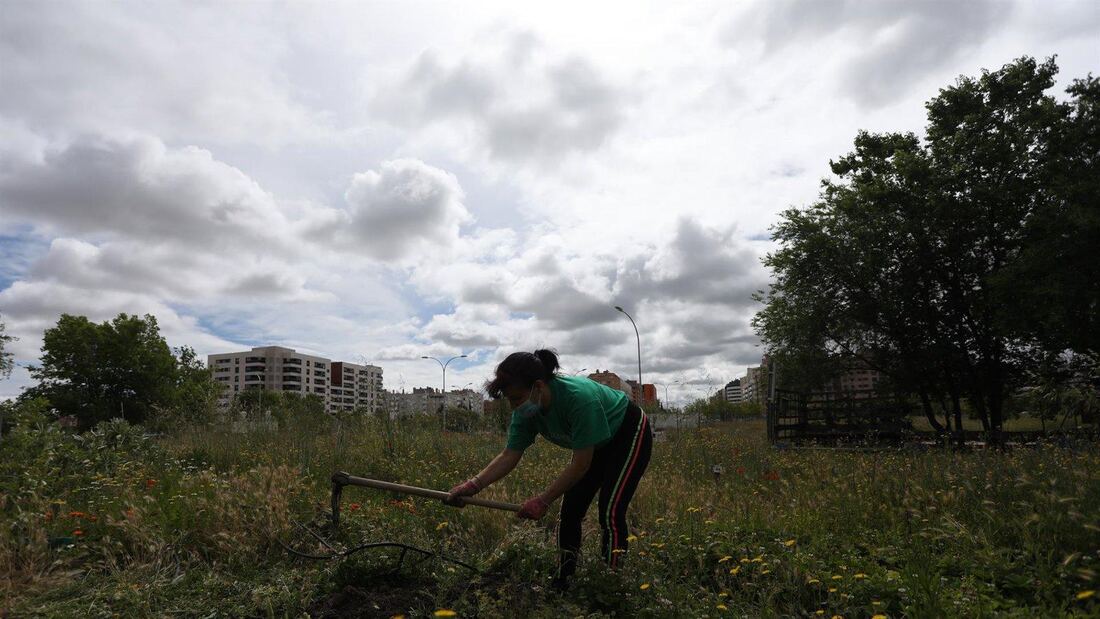 Madrid estudia eximir a los huertos urbanos del pago del agua