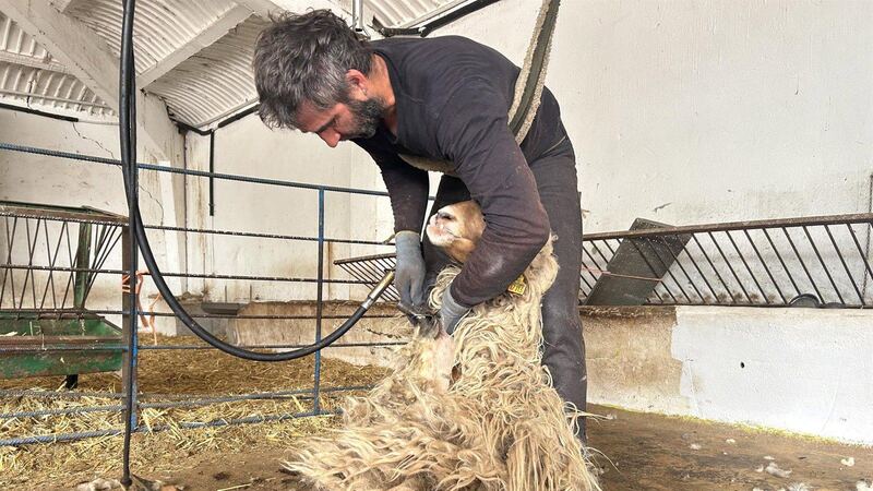 Madrid moderniza el reglamento del IMIDRA para reforzar investigación agraria