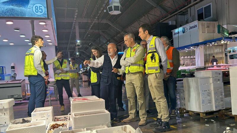 Nueva convocatoria de ayudas a empresas agrarias madrileñas
