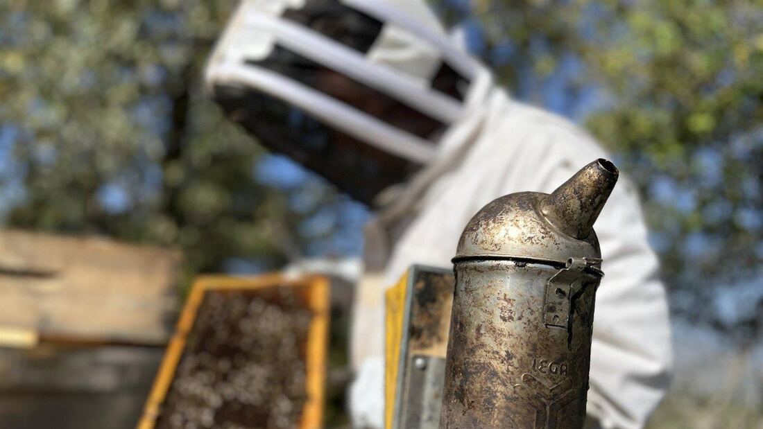 Madrid supervisa los ahumadores apícolas para prevenir incendios forestales