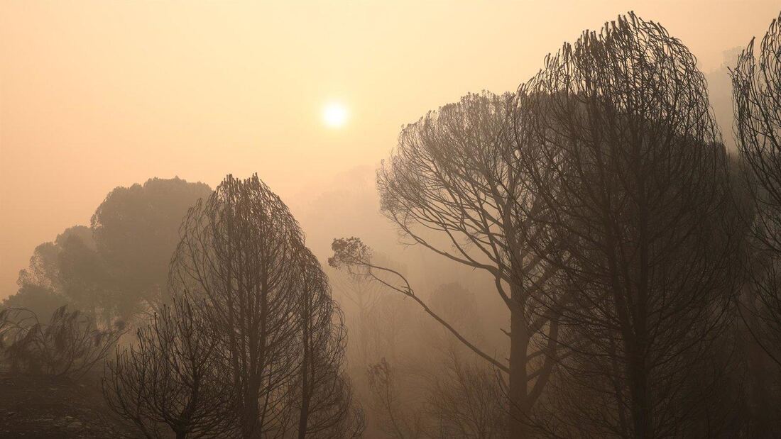 Madrid suspende la segunda fase de matrícula de FP durante los incendios