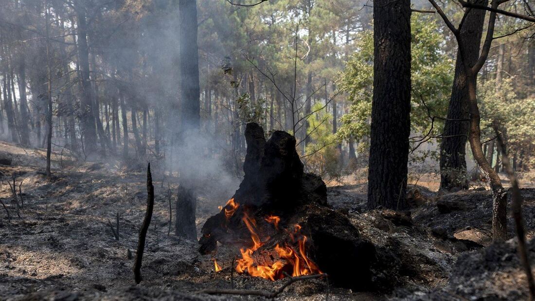 El dispositivo de extinción evita que el fuego llegue a Valdemaqueda