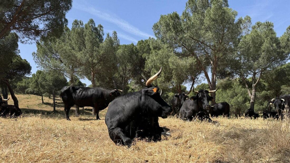 741.572 euros para reforzar protección agraria en la región 