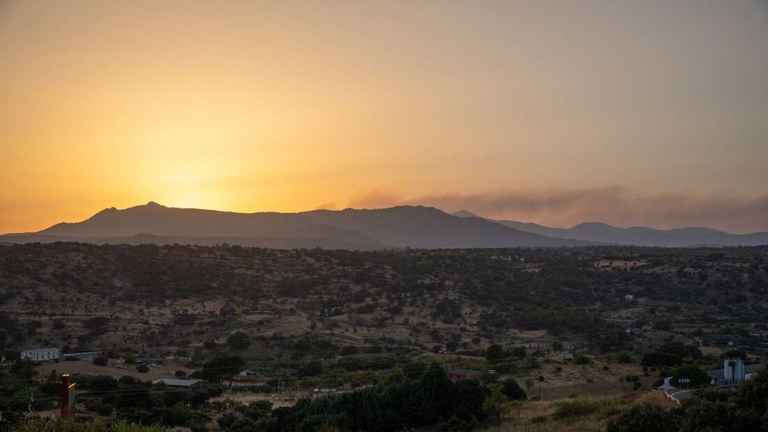 El incendio calcinó 890 hectáreas, 600 en la región