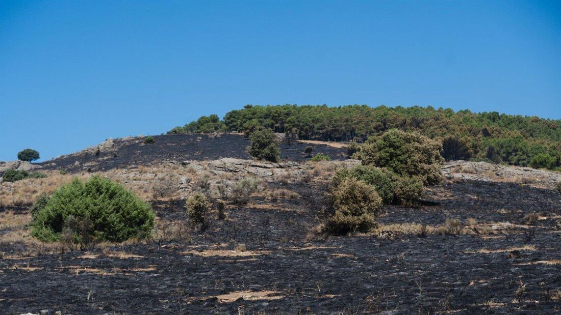 Los servicios de extinción controlan el incendio junto a Lozoyuela y cortan la M-126