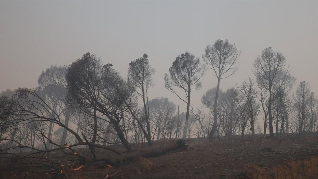 El Ministerio del Interior confina Santa María de la Alameda con un EsAlert por el incendio