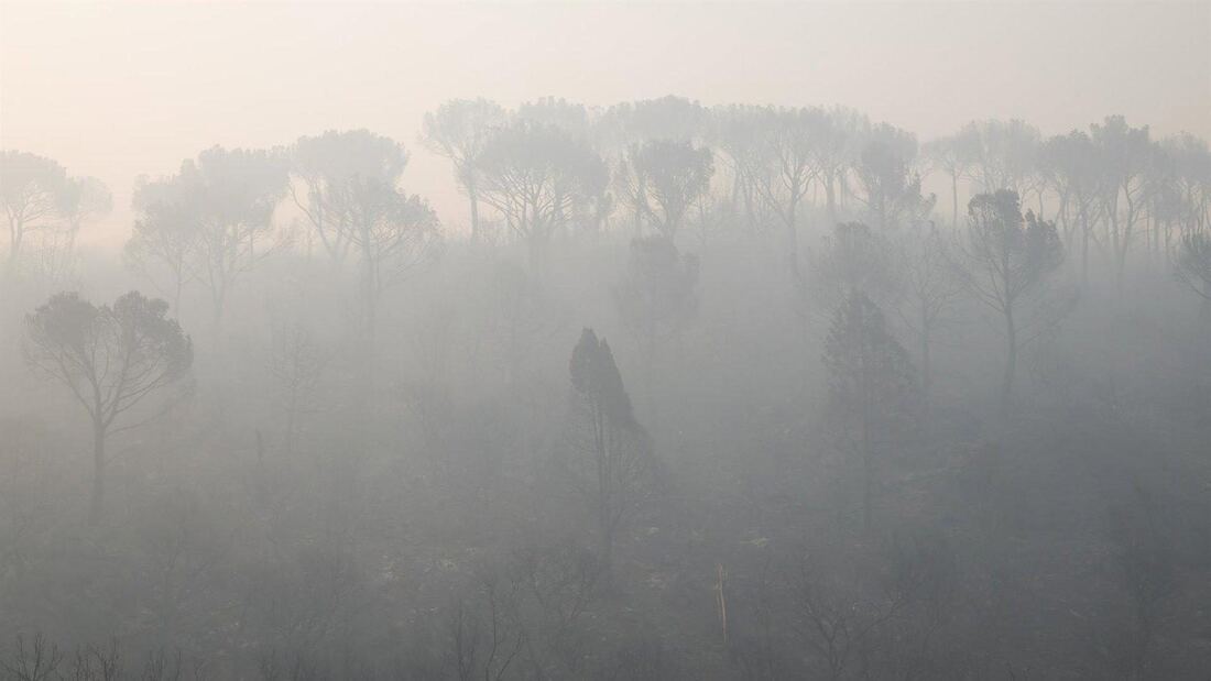 Valdemaqueda evacuada por el avance del incendio de la Sierra Oeste