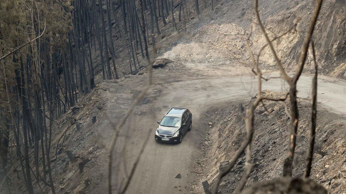 Cómo escapar de un incendio forestal si viajas en automóvil
