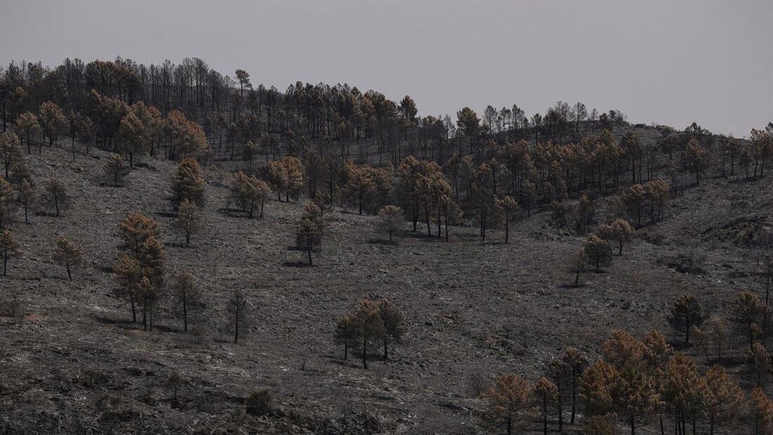 García-Page niega un pacto climático con la actual situación política