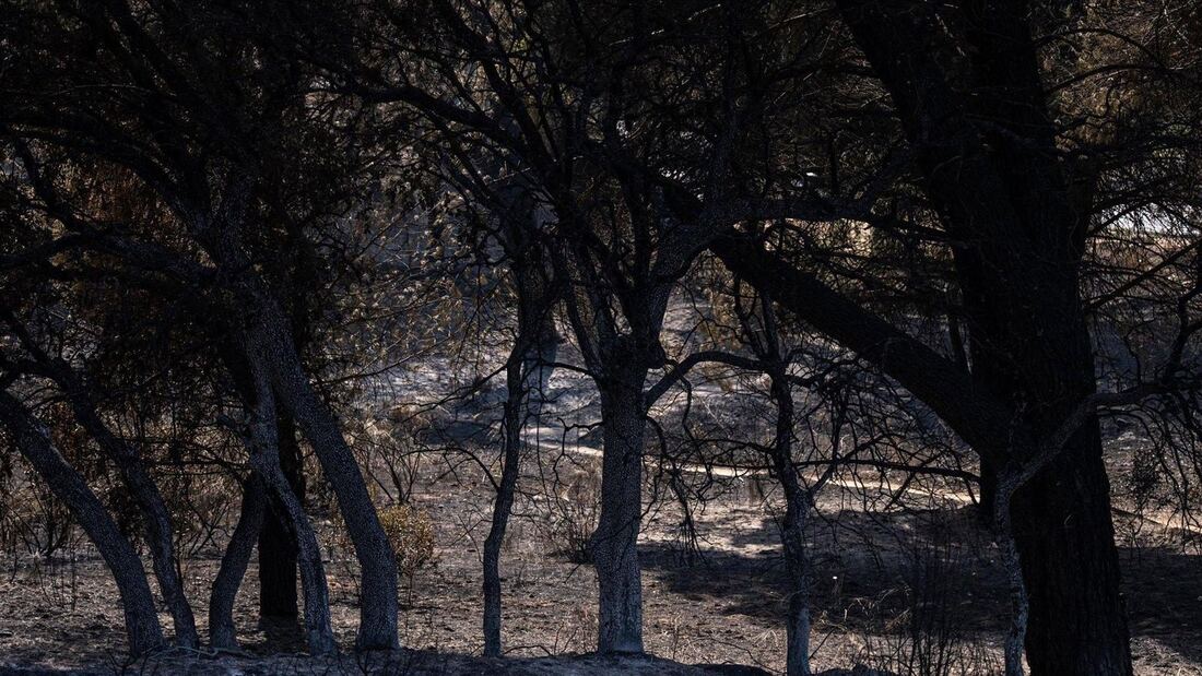 Madrid continúa la extinción nocturna de incendios en la sierra oeste
