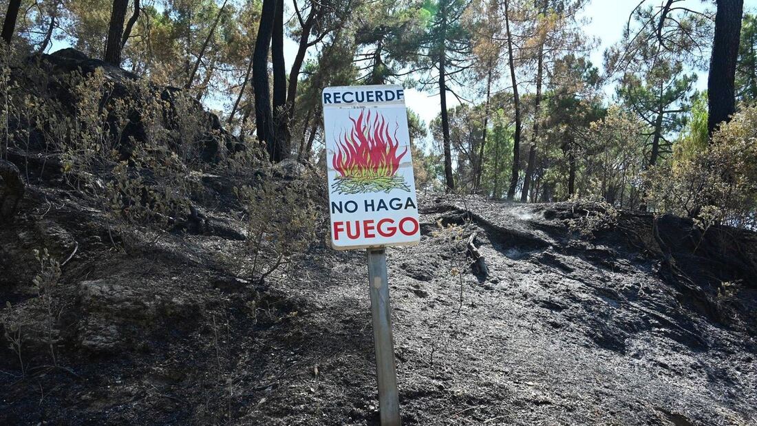 Ecologistas critican la falta de prevención en los incendios de Madrid