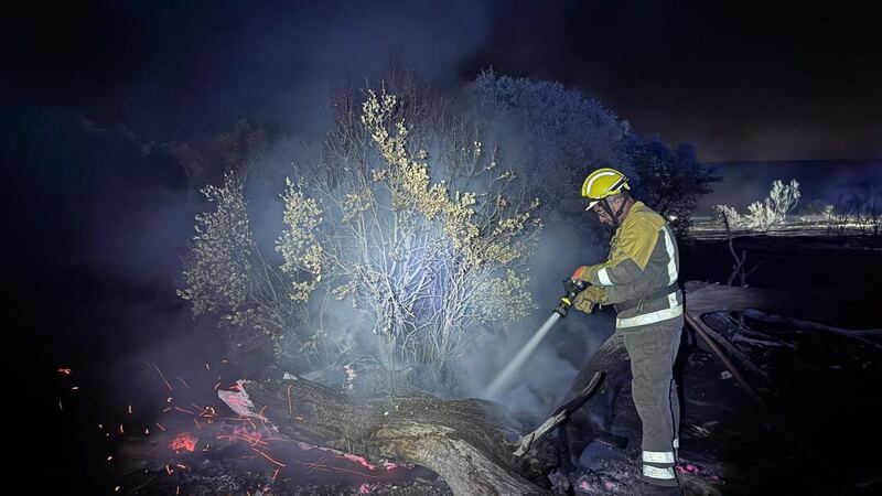 Estabilizado el incendio de Aldea del Fresno tras afectar a 330 hectáreas