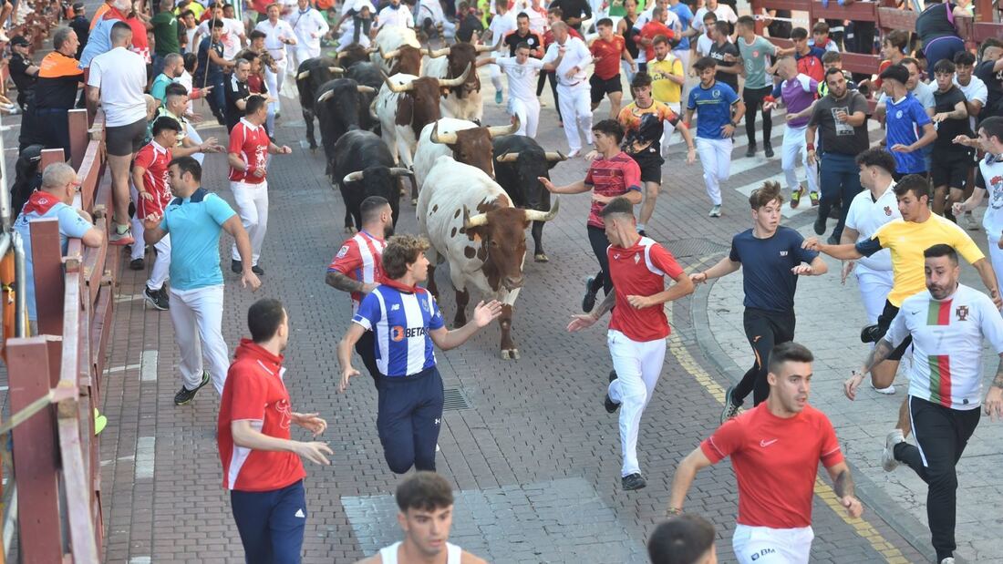 Abren los corrales de los encierros de San Sebastián de los Reyes