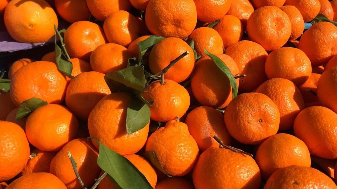 Abierta la convocatoria del Programa Escolar de Frutas y Leche