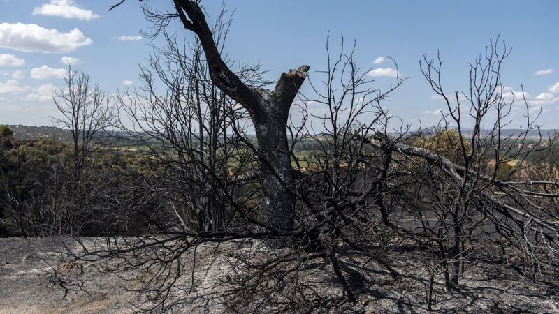 Nuevas ayudas regionales para pymes y autónomos afectados por el incendio
