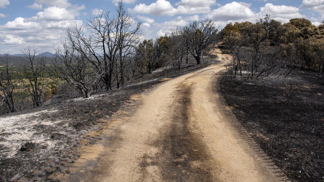 La Comunidad aloja en hoteles a 248 evacuados del incendio de la Sierra Oeste