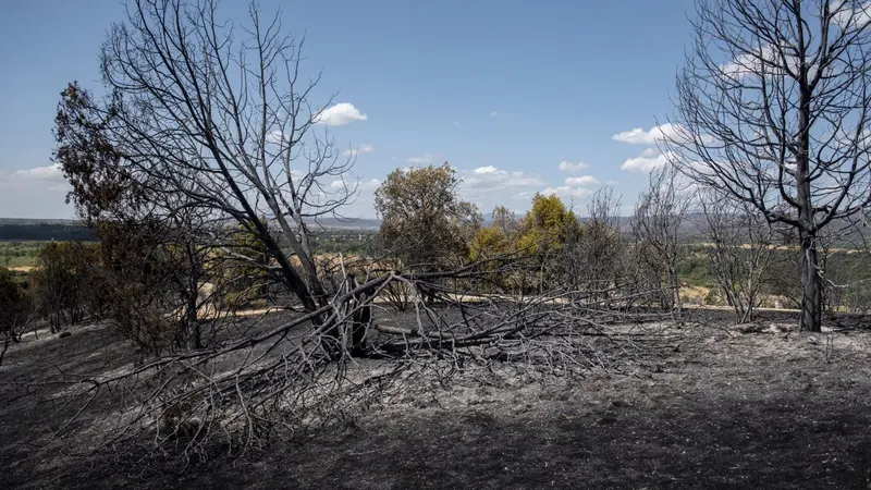La Comunidad despliega 177 veh&iacute;culos para recuperar la Sierra Oeste