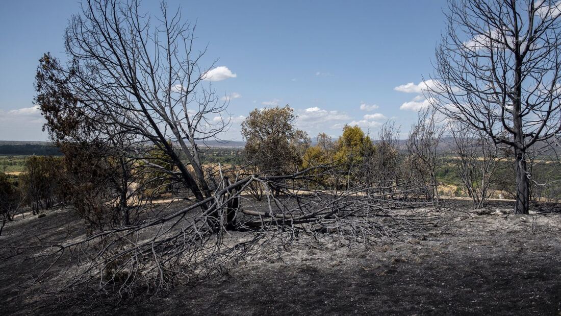 La Comunidad despliega 177 vehículos para recuperar la Sierra Oeste