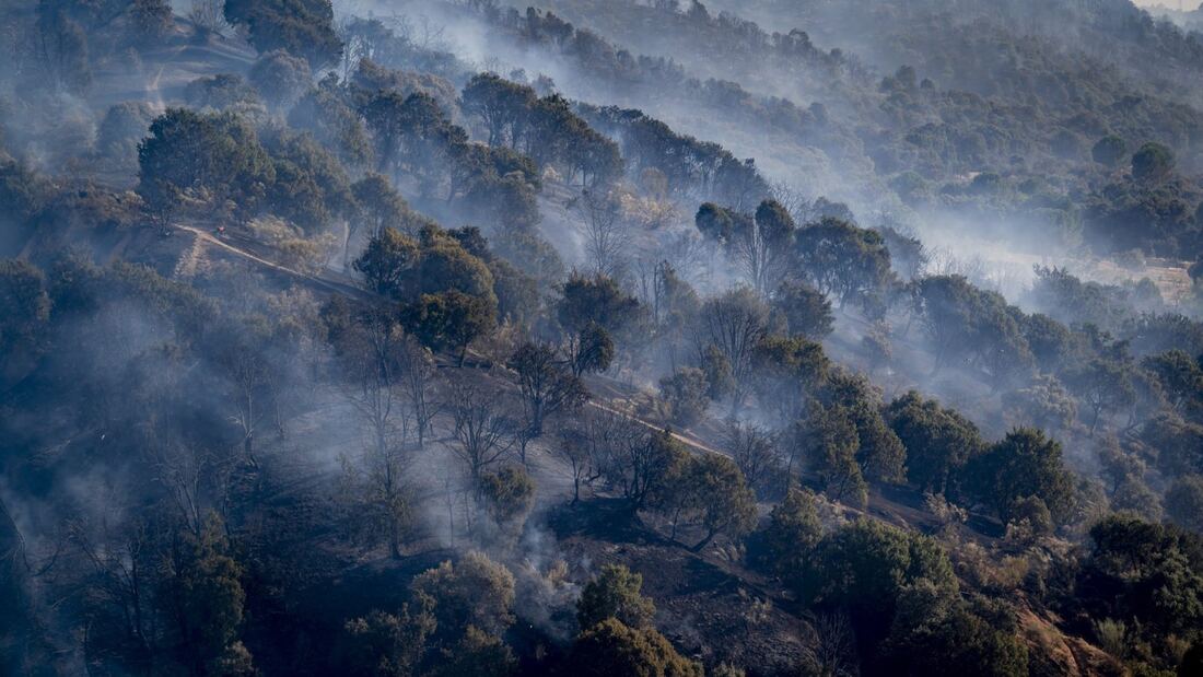Madrid abastece con comida y agua a la fauna de la Sierra Oeste tras el incendio