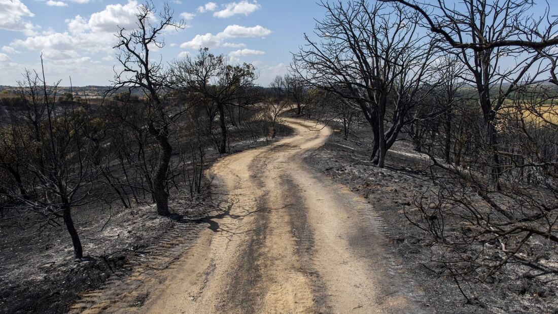 Restricción temporal en 12 montes afectados por el incendio de la Sierra Oeste