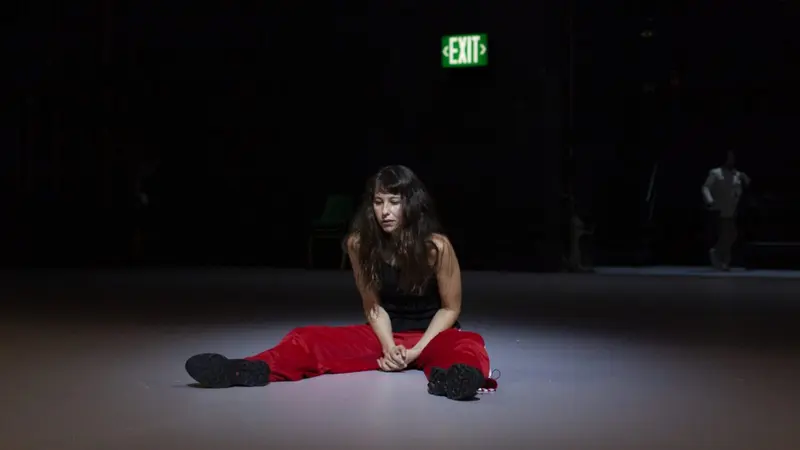 El Teatro Espa&ntilde;ol vuelve con 'Personas, lugares y cosas' hasta el 18 de octubre