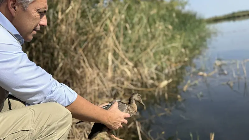 La Comunidad crea una red de 60 observatorios de fauna silvestre