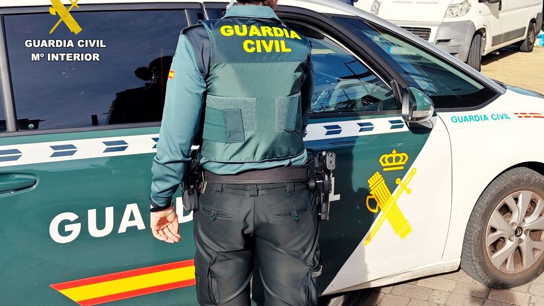 Detenido en Rivas-Vaciamadrid por robar en una docena de coches