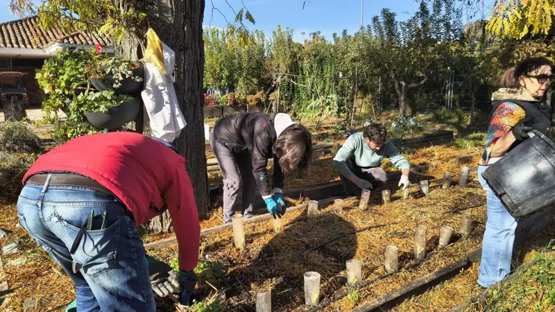 Madrid ofrece m&aacute;s de 400 actividades ambientales este oto&ntilde;o
