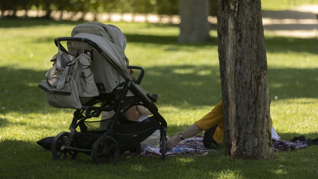 La Comunidad distribuirá leche a 290.000 alumnos en 2027