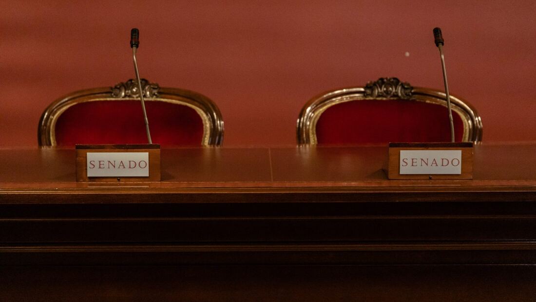 El Senado reúne a expertos para abordar el uso de la IA